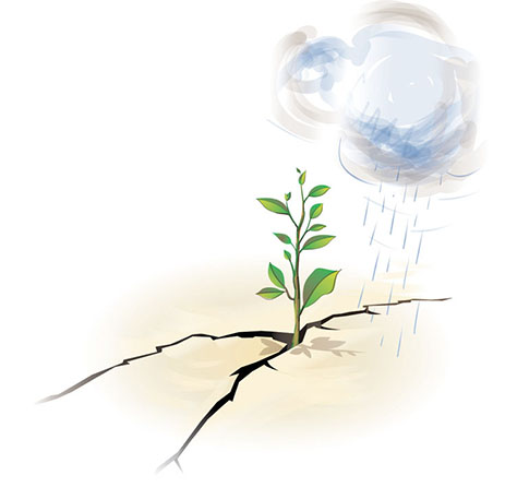 A rain cloud showering dry earth. A plant sprouting from cracked earth.